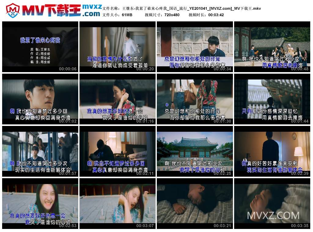 王继东-我累了谁来心疼我_国语_流行_YE201041